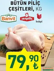 BÜTÜN PİLİÇ ÇEŞİTLERİ KG